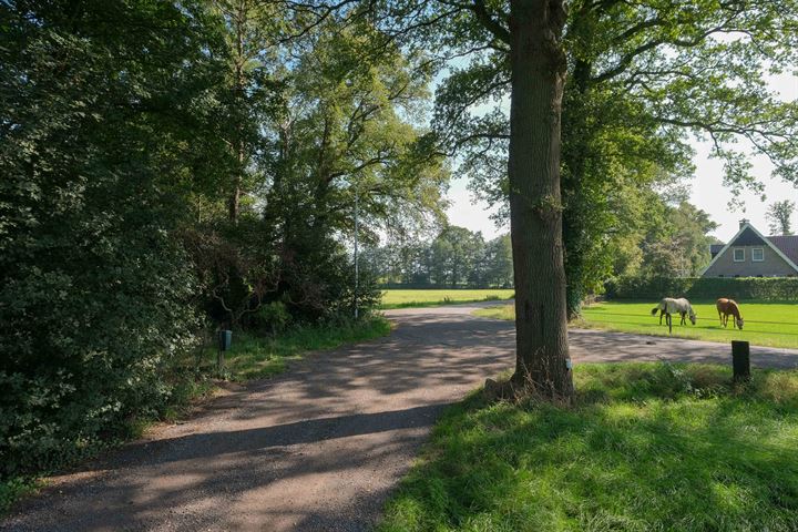 Bekijk foto 38 van Bolkshoeksweg 32