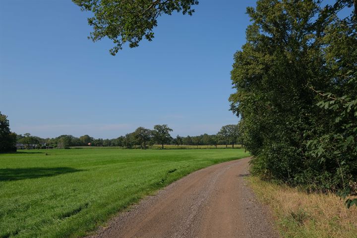 Bekijk foto 41 van Bolkshoeksweg 32