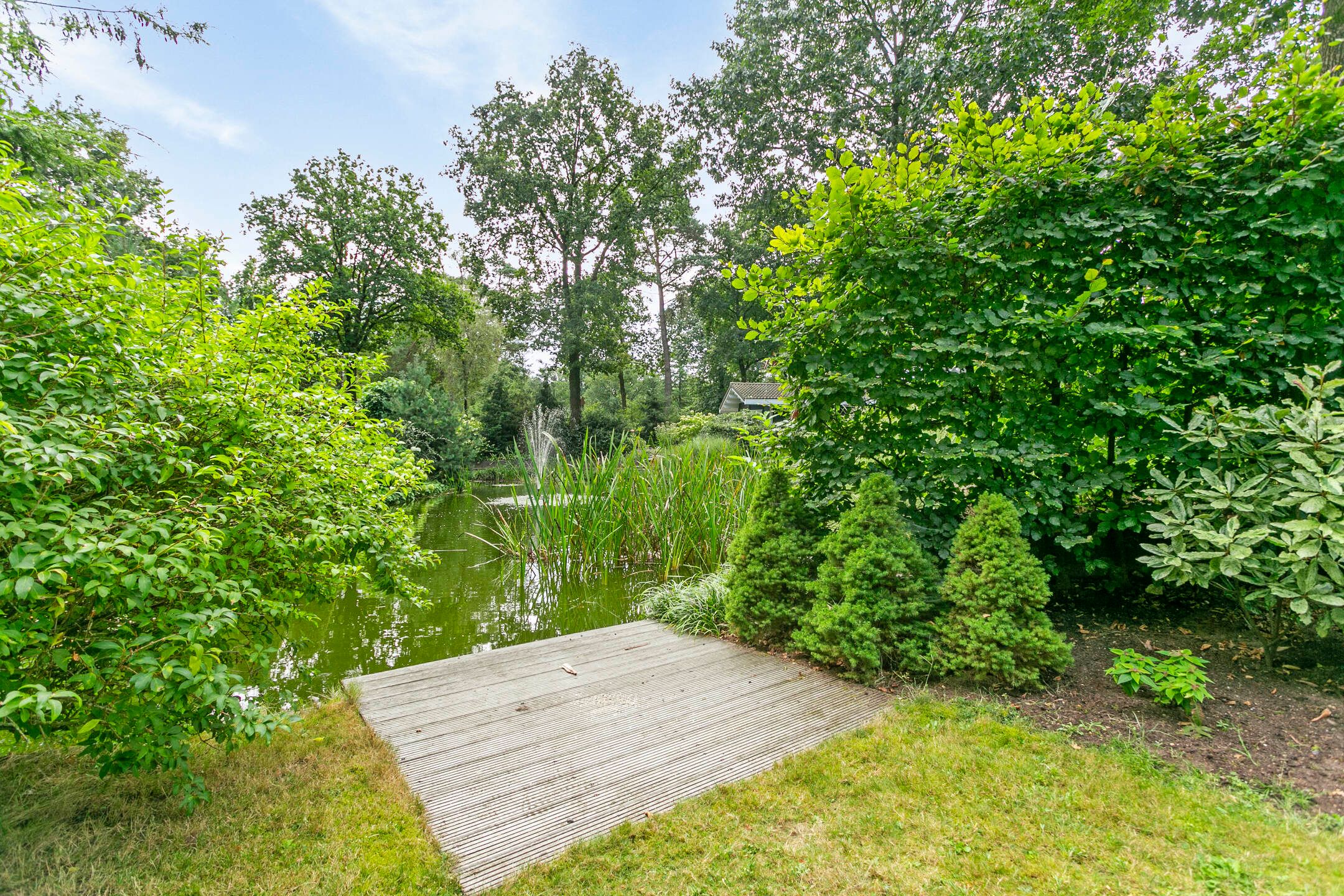 Photo 3 of Immenweg 15-R232