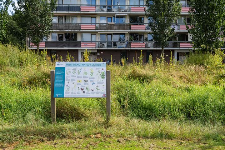 Bekijk foto 35 van Trekvogelweg 255