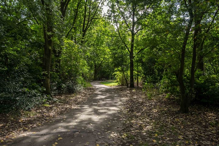 Bekijk foto 38 van Trekvogelweg 255