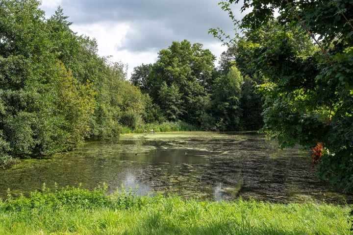 Bekijk foto 40 van Trekvogelweg 255