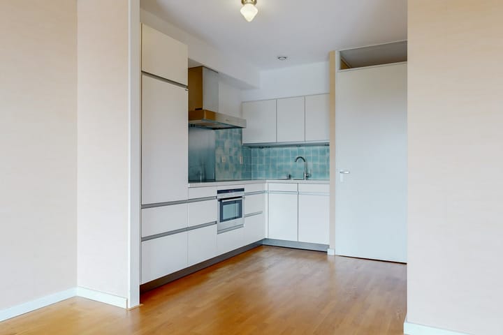 Foto 6 van Ringslang 105