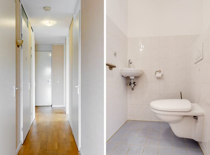 Foto 7 van Ringslang 105