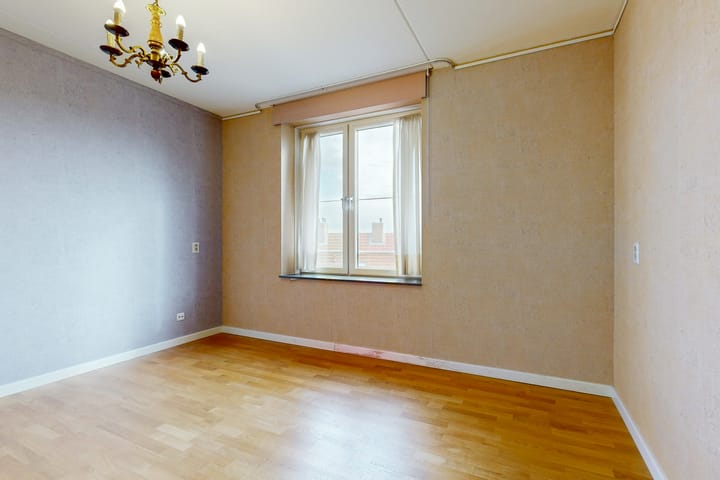 Foto 8 van Ringslang 105