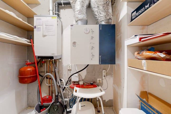 Foto 14 van Ringslang 105