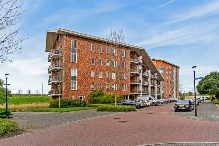 Foto 20 van Ringslang 105