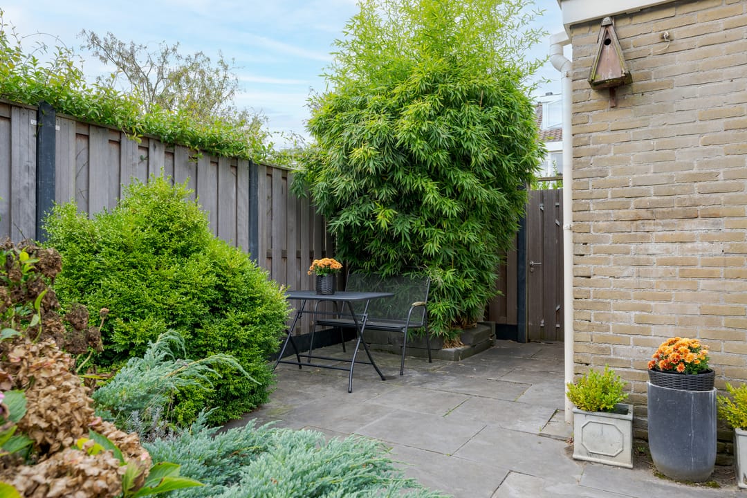 Photo 41 of Van Cranenburchlaan 17