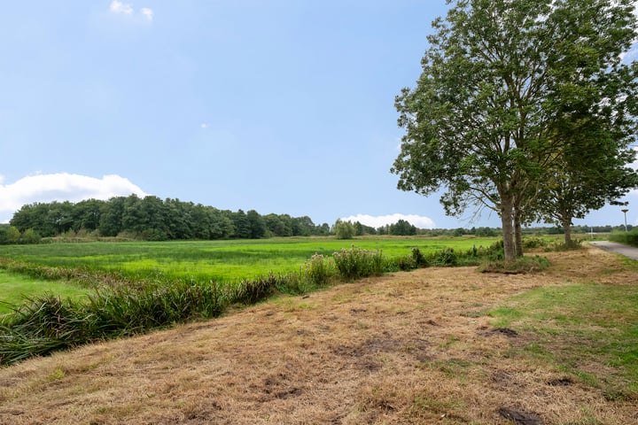 Bekijk foto 48 van Van Leeuwenhoeklaan 5