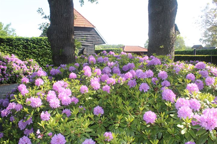 Bekijk foto 52 van Arriërveldsweg 3