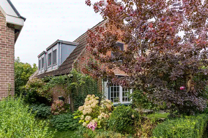 Foto 6 van Haadstrjitte 24