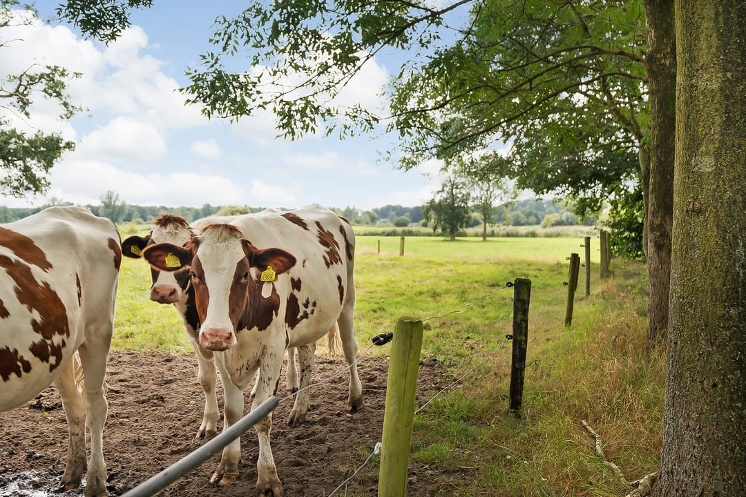 Foto 17 van Herfterlaan 16