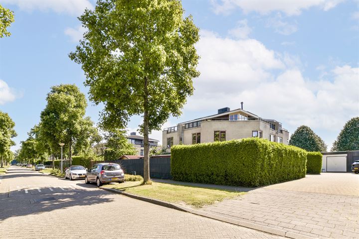 Bekijk foto van Jaap ter Haarstraat 20