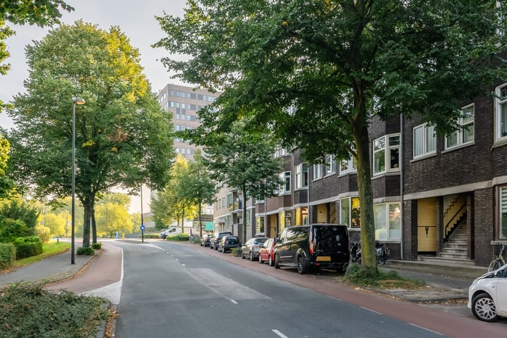 View photo 37 of Schiedamseweg 232