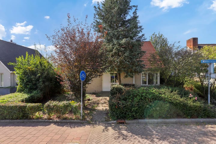 Foto 2 van Winterrietpeer 3