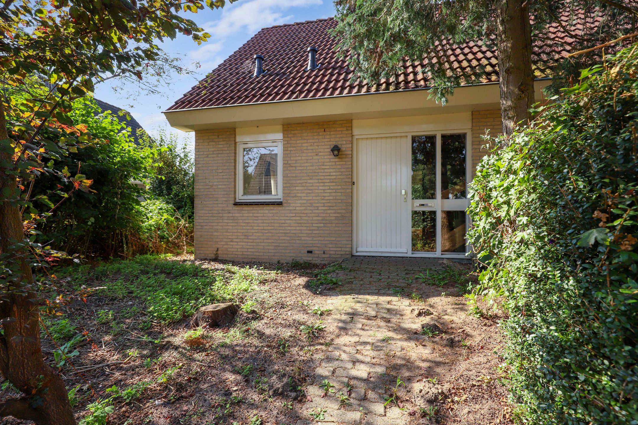 Foto 3 van Winterrietpeer 3