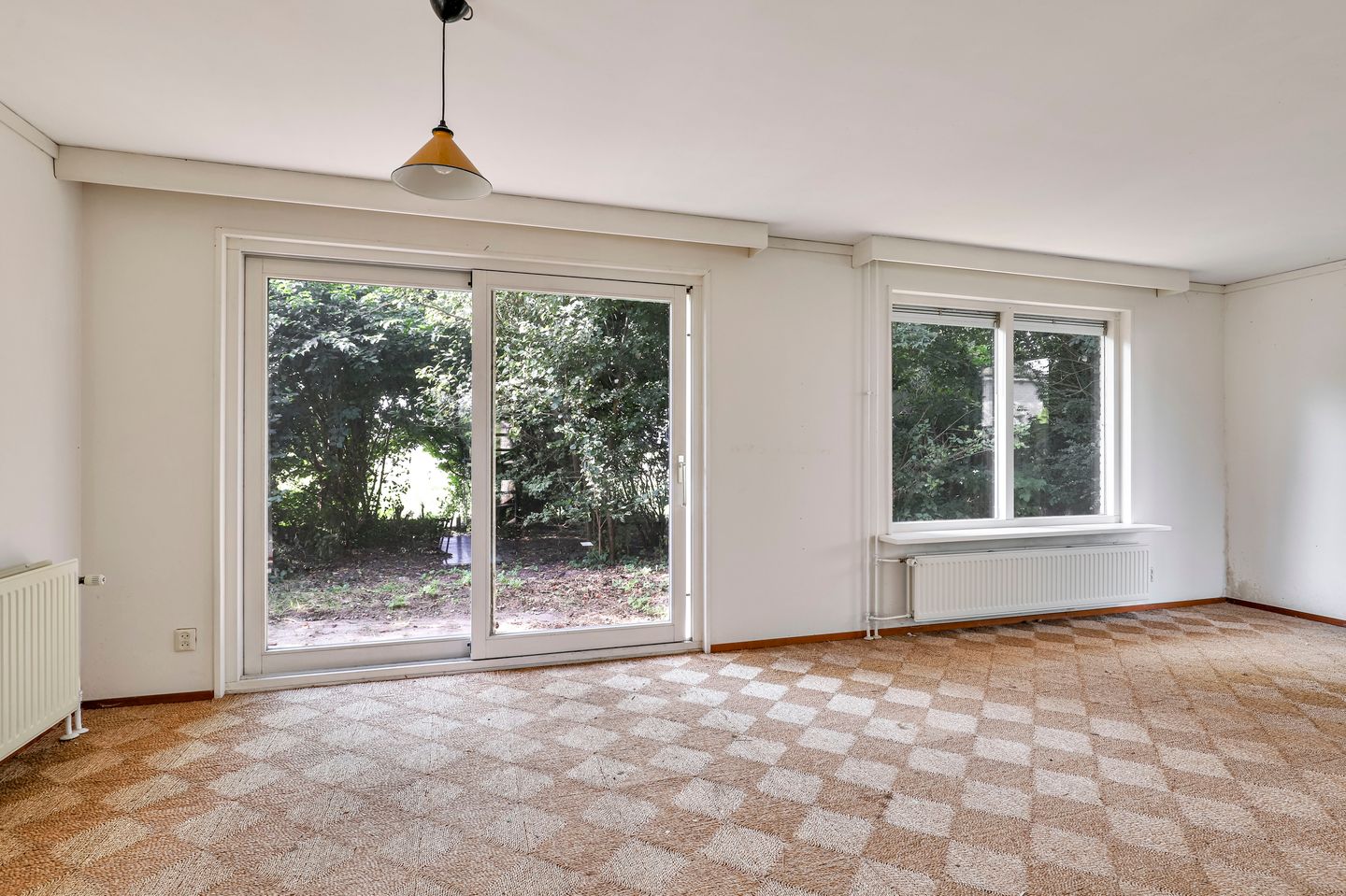 Foto 5 van Winterrietpeer 3