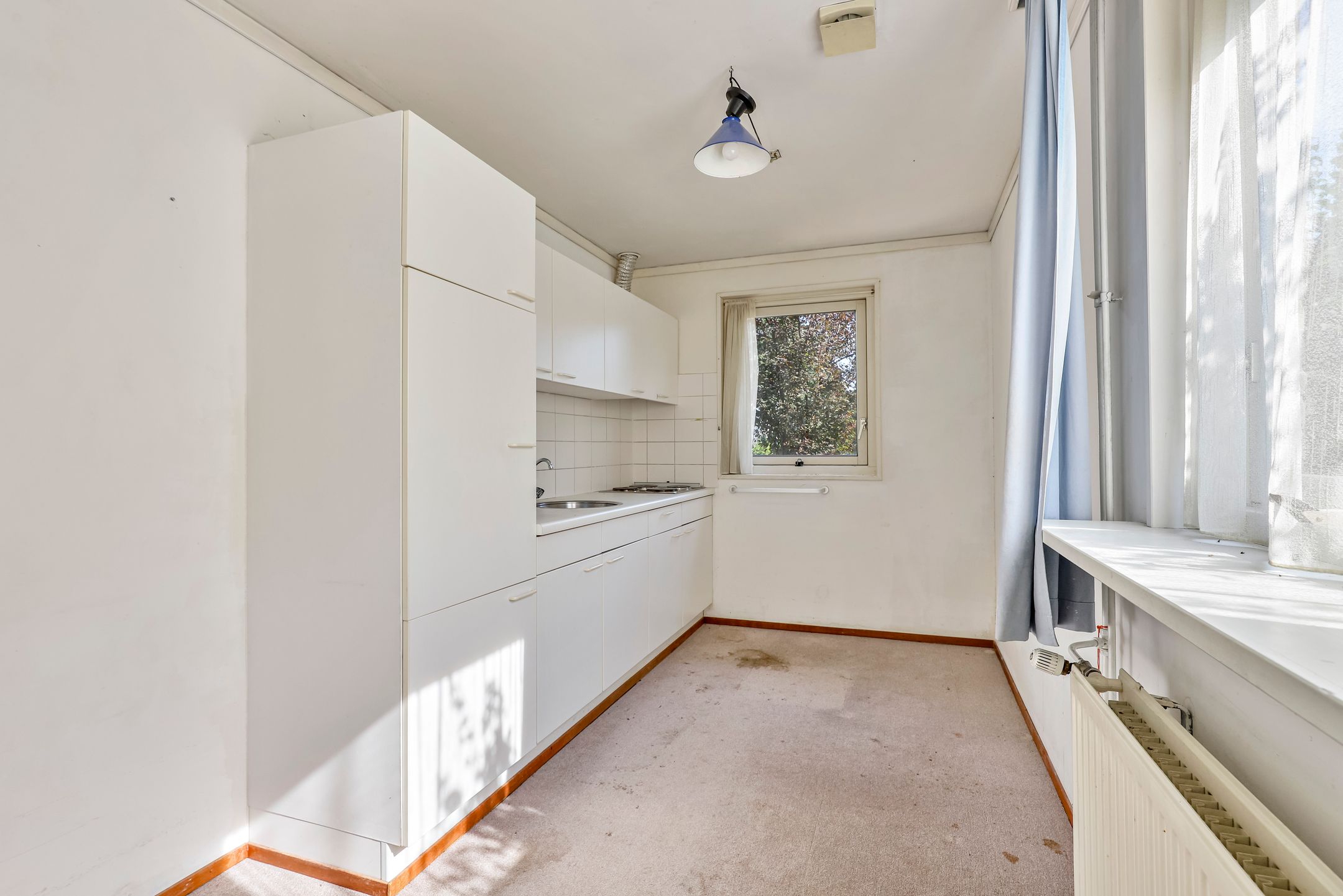 Foto 9 van Winterrietpeer 3