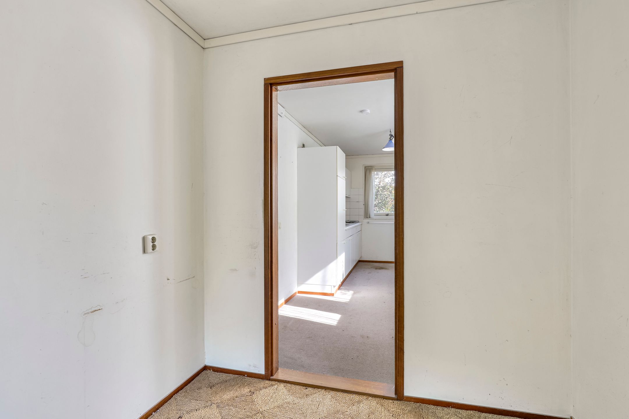 Foto 12 van Winterrietpeer 3