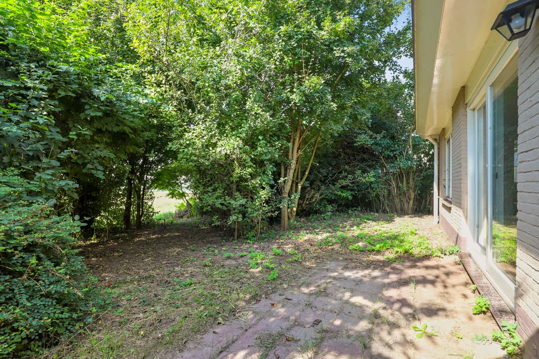 Foto 13 van Winterrietpeer 3