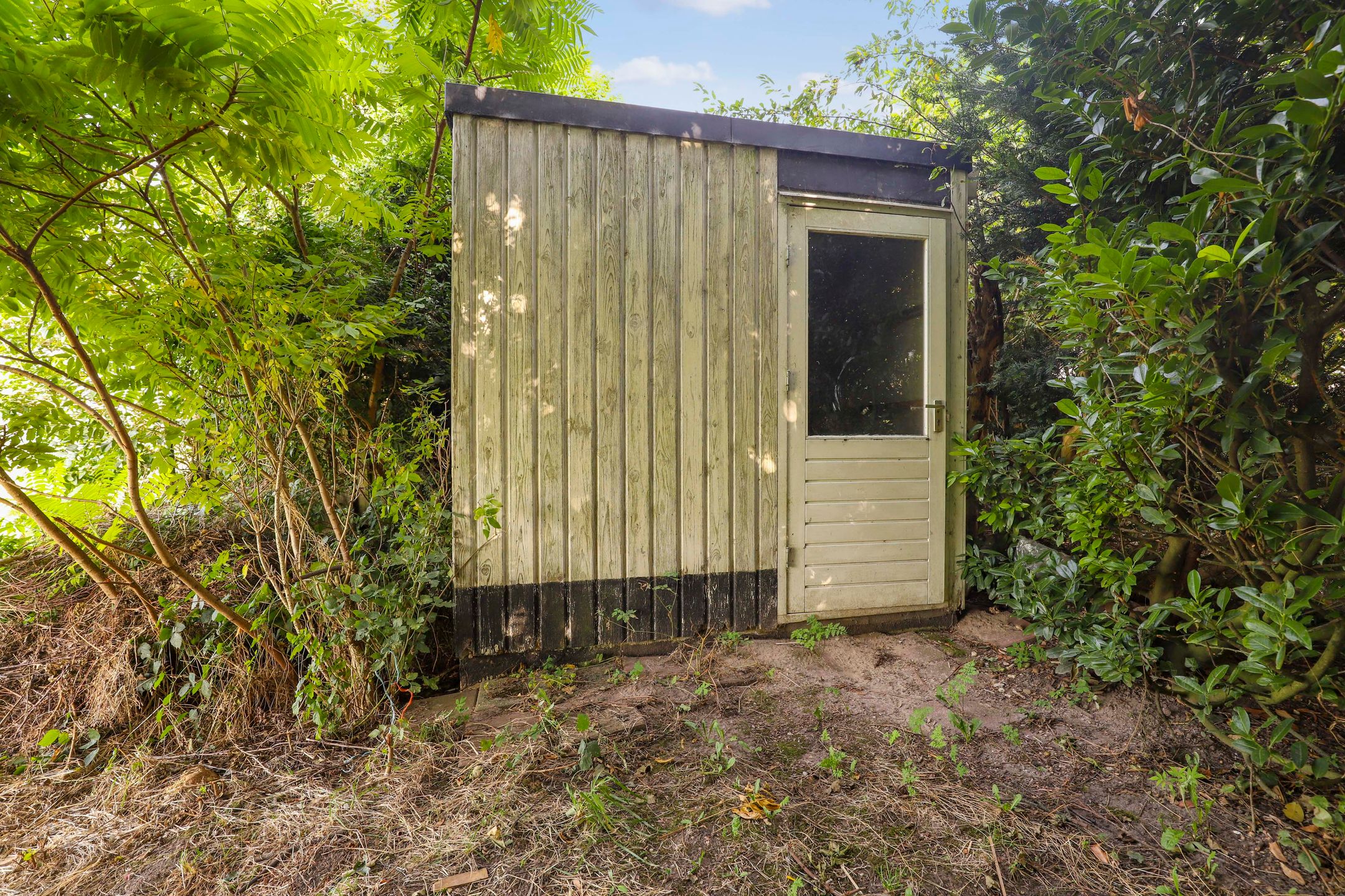 Foto 15 van Winterrietpeer 3