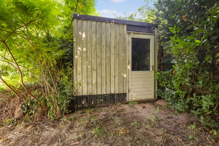 Foto 15 van Winterrietpeer 3