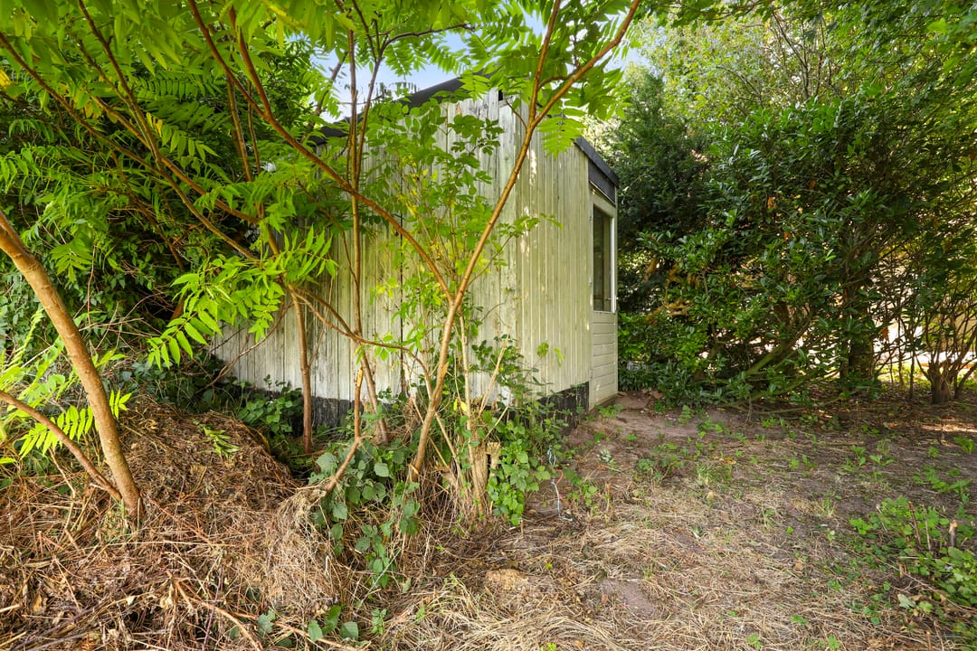 Foto 16 van Winterrietpeer 3