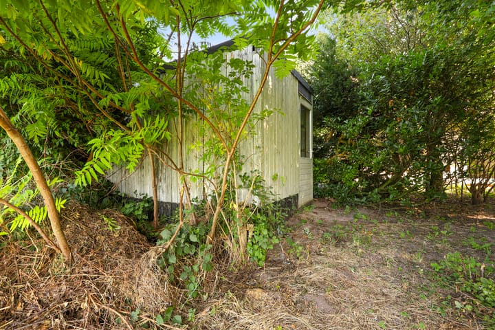 Foto 16 van Winterrietpeer 3