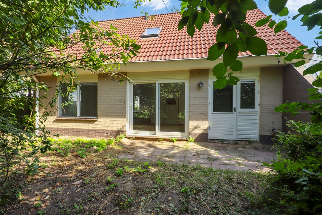 Foto 17 van Winterrietpeer 3