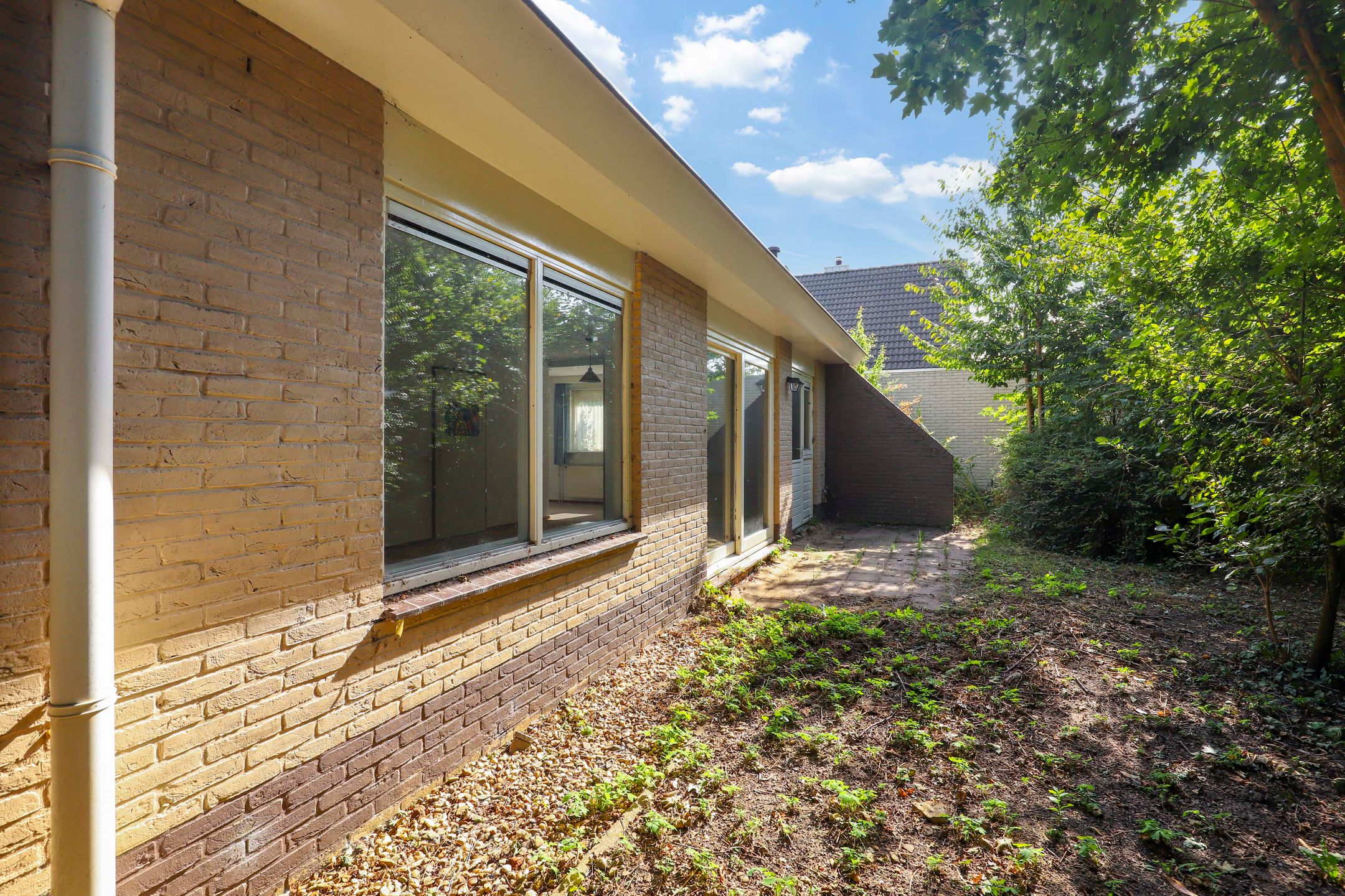 Foto 18 van Winterrietpeer 3