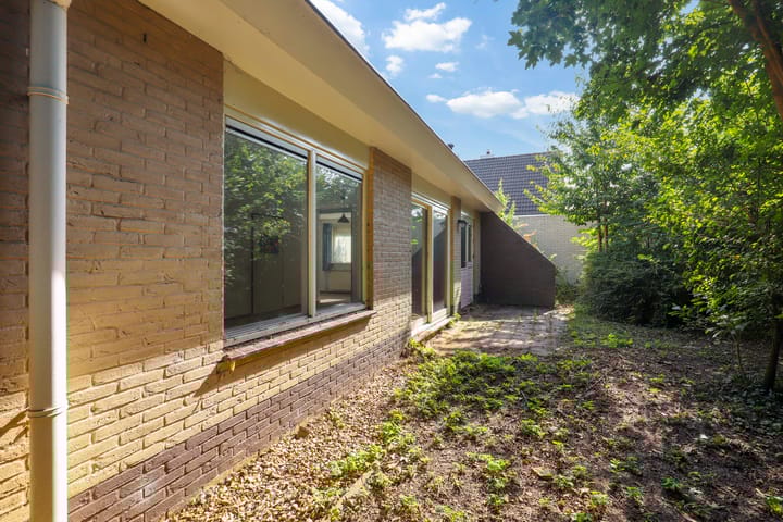 Foto 18 van Winterrietpeer 3