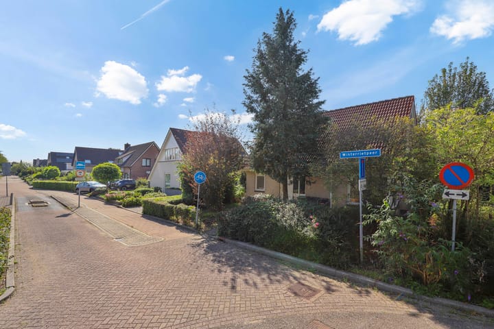 Foto 28 van Winterrietpeer 3