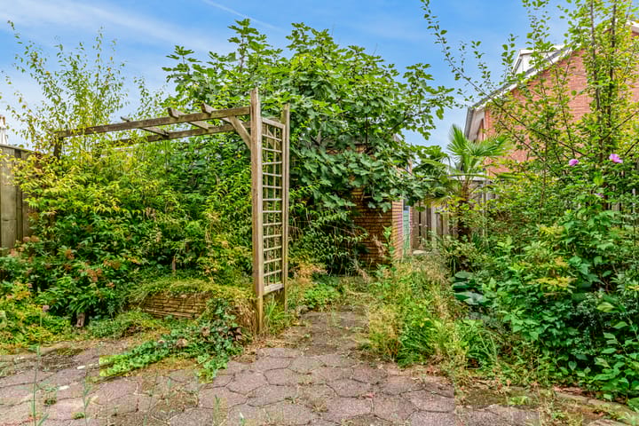 Foto 9 van Jip en Janneke 109