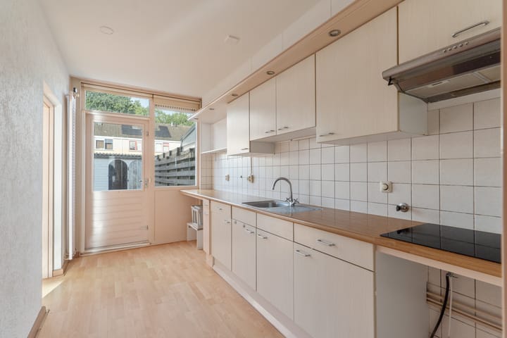 Foto 7 van Grote Beer 3