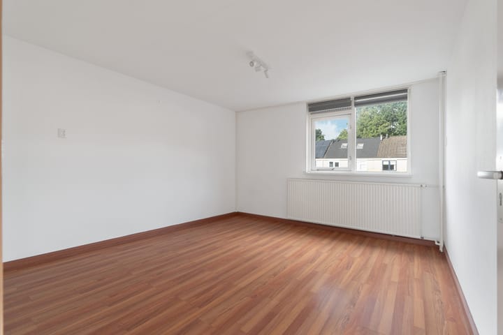 Foto 12 van Grote Beer 3