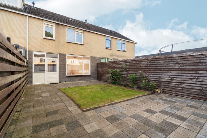 Foto 17 van Grote Beer 3