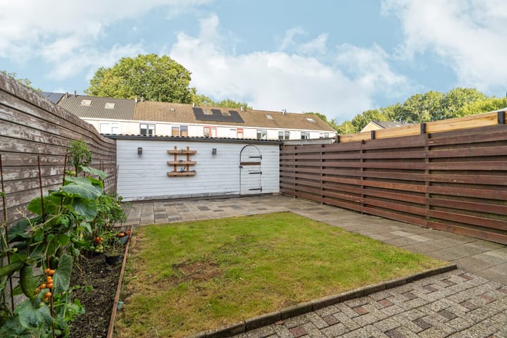 Foto 18 van Grote Beer 3