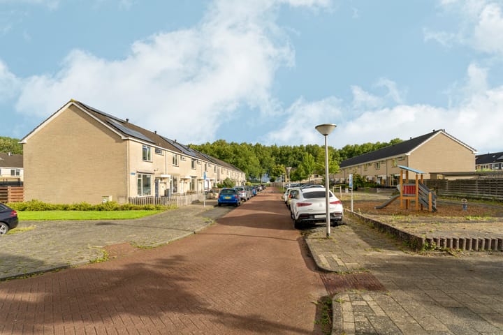 Foto 19 van Grote Beer 3