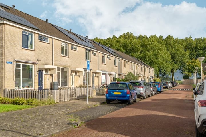 Foto 20 van Grote Beer 3