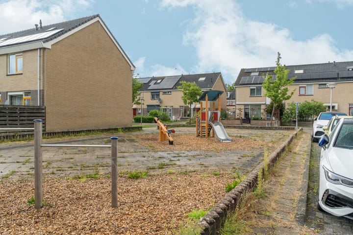 Foto 21 van Grote Beer 3