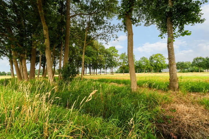 Foto 9 van Meersendijk 3