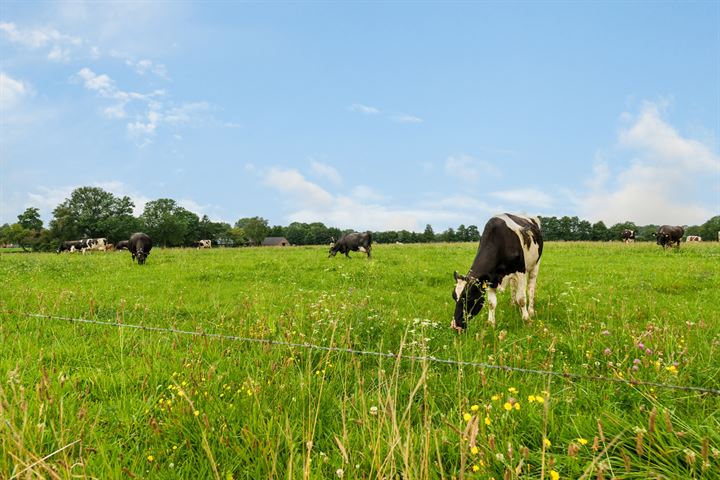 Bekijk foto 11 van Meersendijk 3