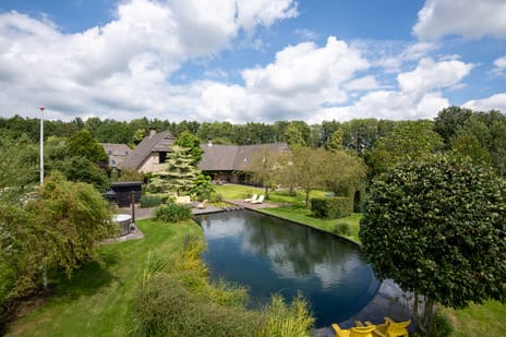 undefined main image