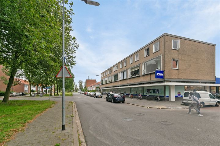 Bekijk foto 36 van Rijnauwenstraat 53