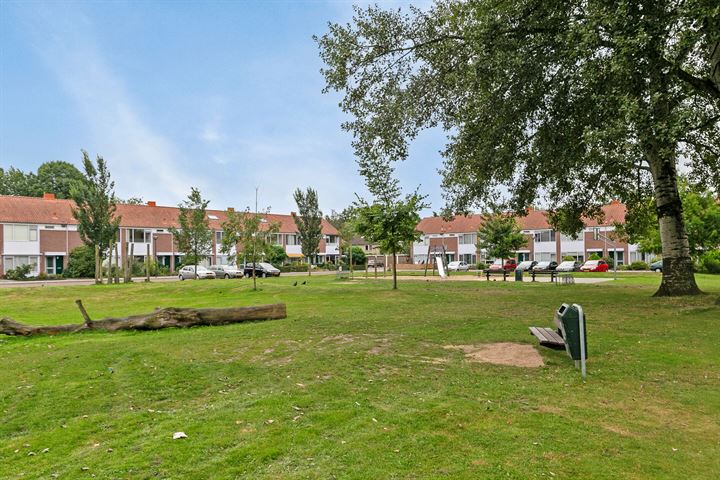 Bekijk foto 37 van Rijnauwenstraat 53