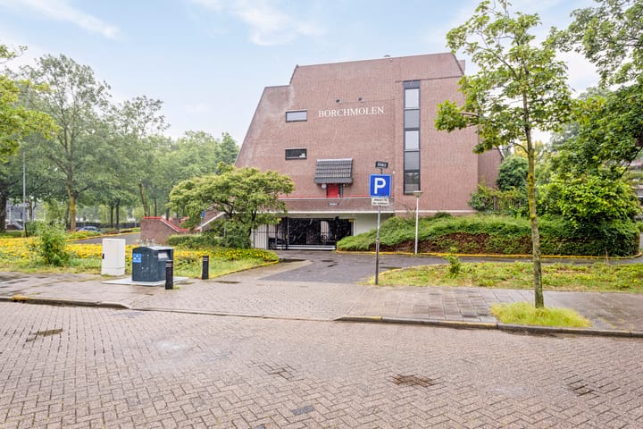 Foto 6 van Borchmolen 50