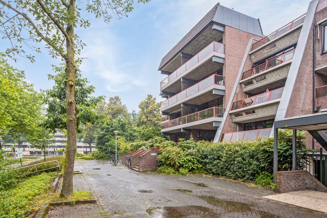 Foto 7 van Borchmolen 50