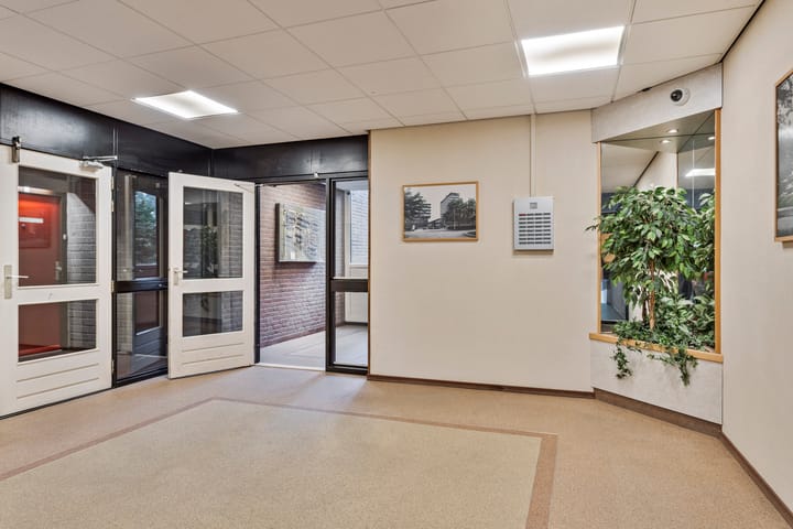 Foto 8 van Borchmolen 50