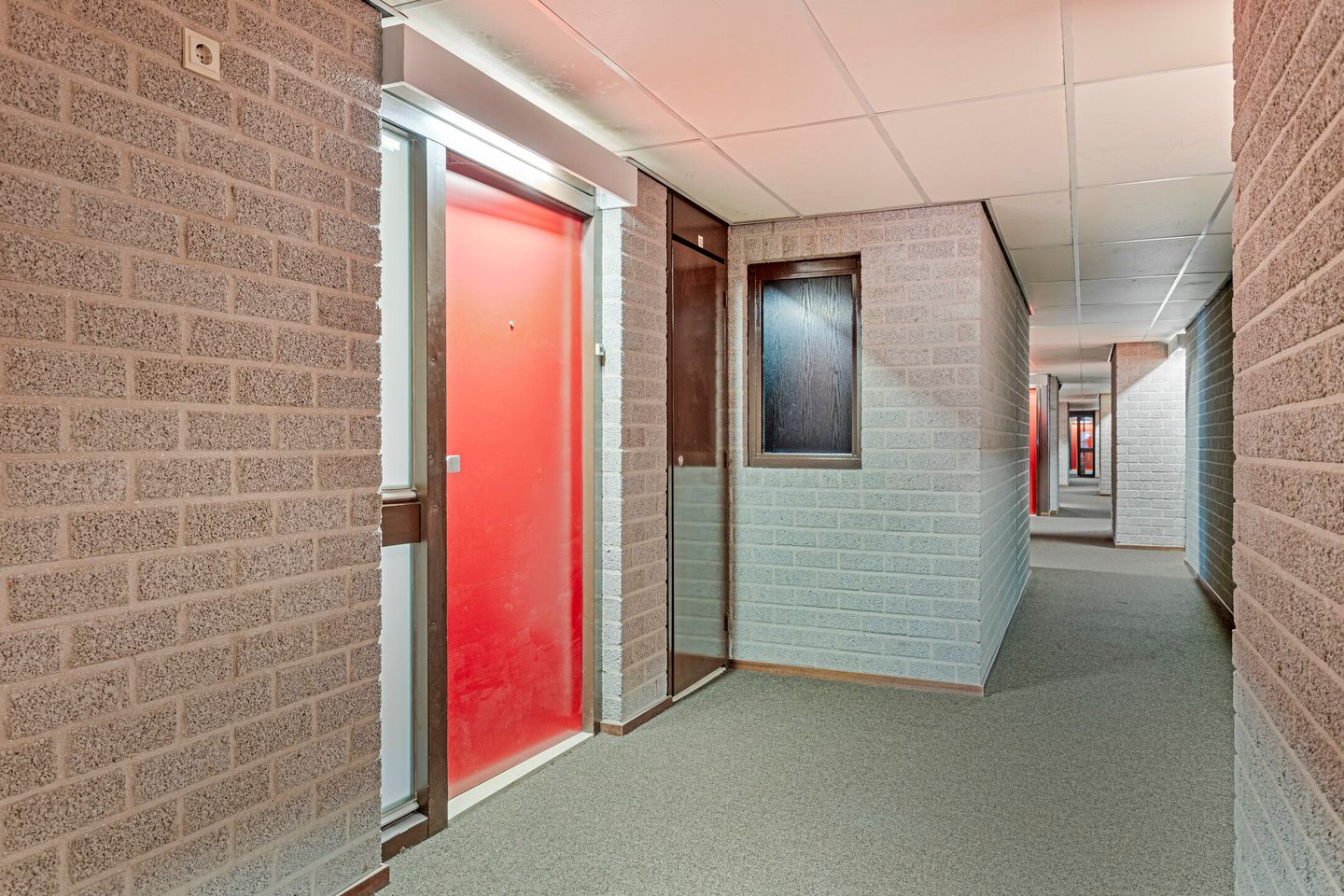 Foto 10 van Borchmolen 50