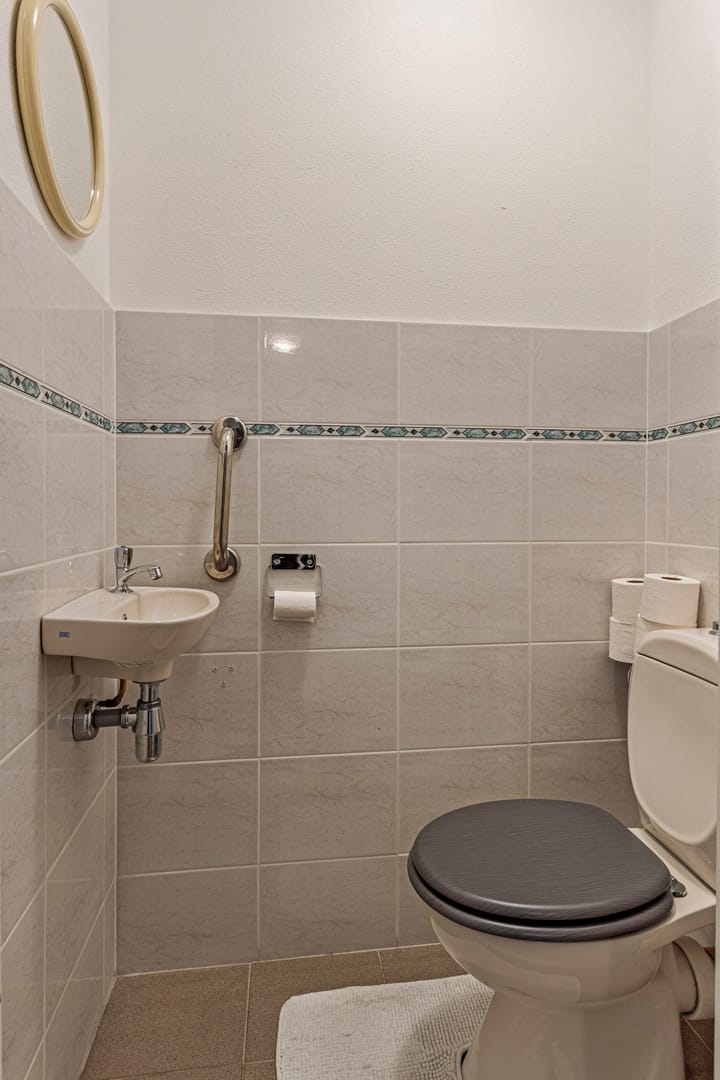 Foto 12 van Borchmolen 50